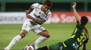 Libertadores: Marcos Rocha diz que Palmeiras se tornou time 'cascudo'