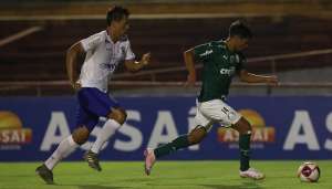 Sérgio Carvalho: Palmeiras corre atrás de vaga e Santos contra o rebaixamento
