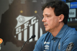 'Precisamos de reforços pontuais', diz Fernando Diniz ao assumir o Santos