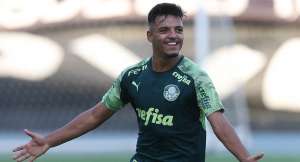 Auxiliar de Abel promete Palmeiras forte: 