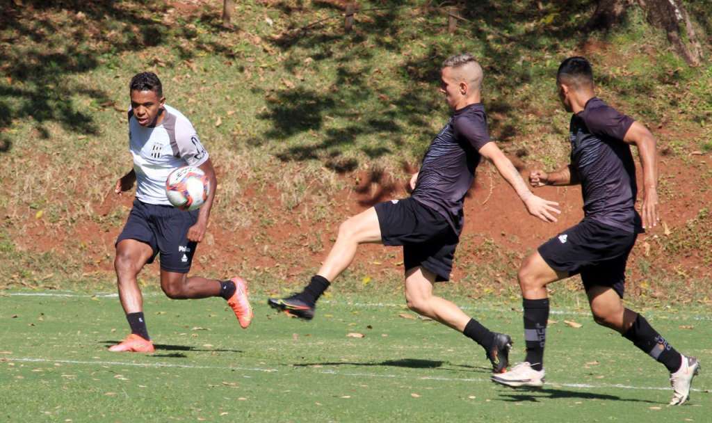 Ponte Preta x CSA – Macaca busca 1ª vitória contra adversário em ascensão