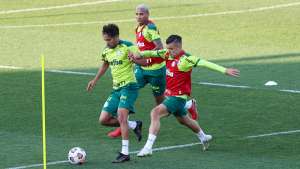 Confira palpites de Universidad Católica x Palmeiras nas oitavas da Libertadores