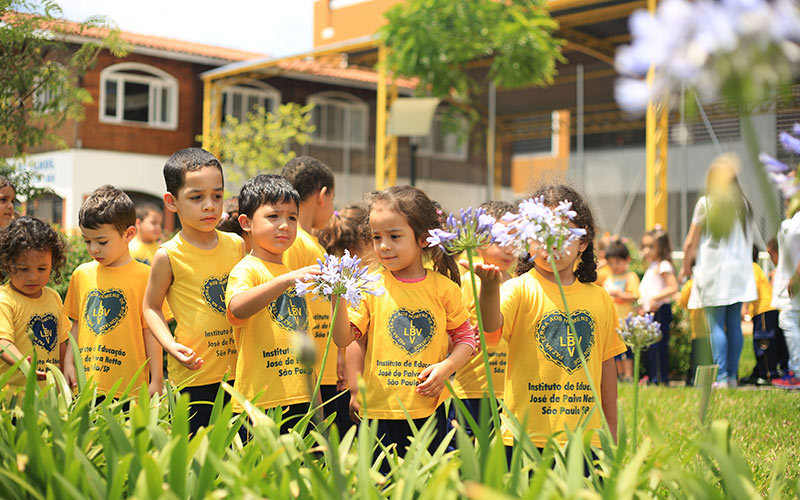 Consciência socioambiental para salvar o Planeta 2 Creditos Vivian R. Ferreira