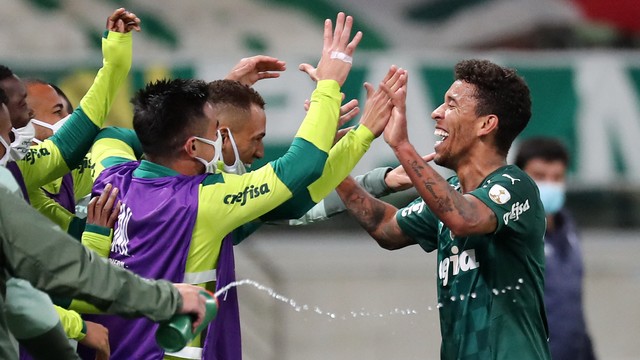 Palmeiras Foto