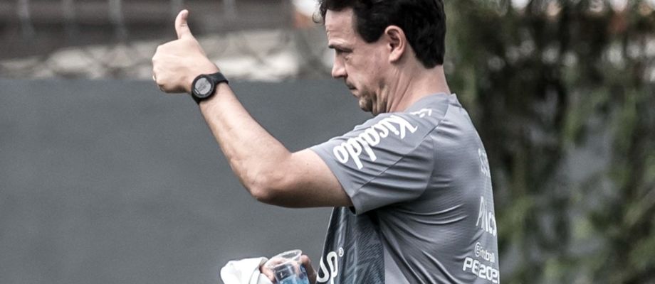 Sem tempo para treinar, Fernando Diniz tenta fazer o Santos ‘calibrar a pontaria’