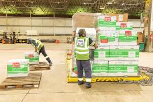 Copa América: Conmebol doa vacina ao Brasil e Tite faz apelo antes da final: 