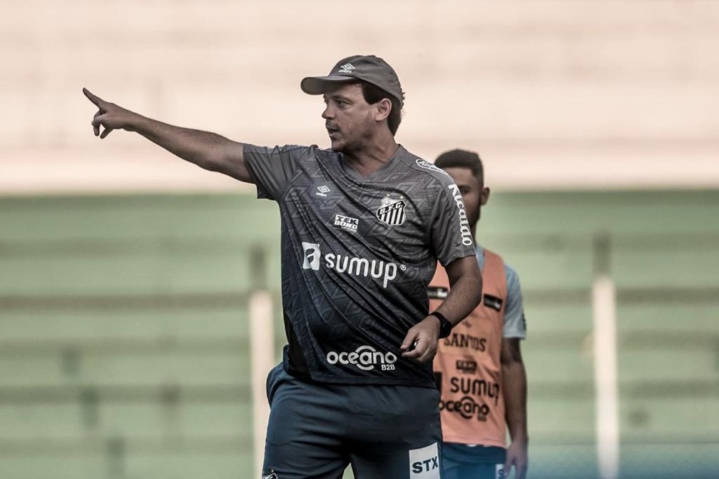 Fernando Diniz reclama da arbitragem em derrota do Santos para o América-MG