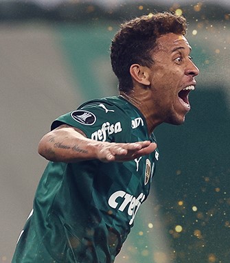 palmeiras