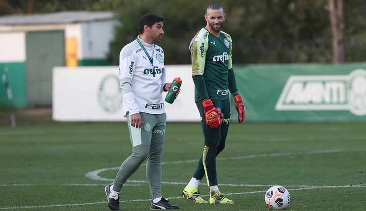 palmeiras01