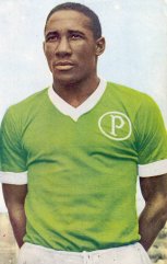 CBF e Palmeiras prestam homenagem a Djalma Santos 3 0002048088727 img