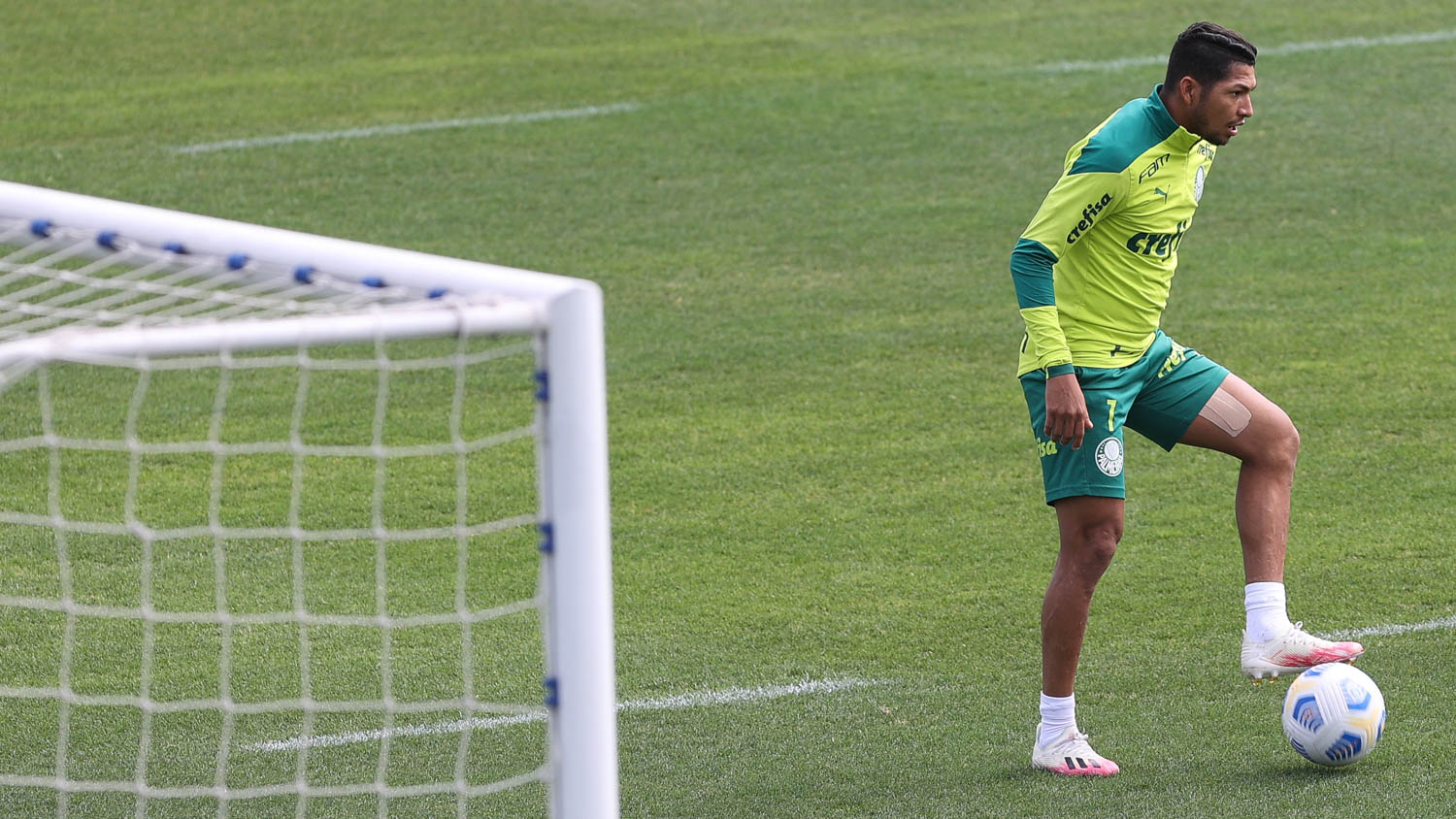 Rony e Luiz Adriano treinam e viram opção para Abel Ferreira no Palmeiras
