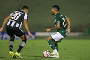 Vitória x Guarani - Terror dos mandantes, Bugre quer fazer nova vítima de olho no G4 da Série B!
