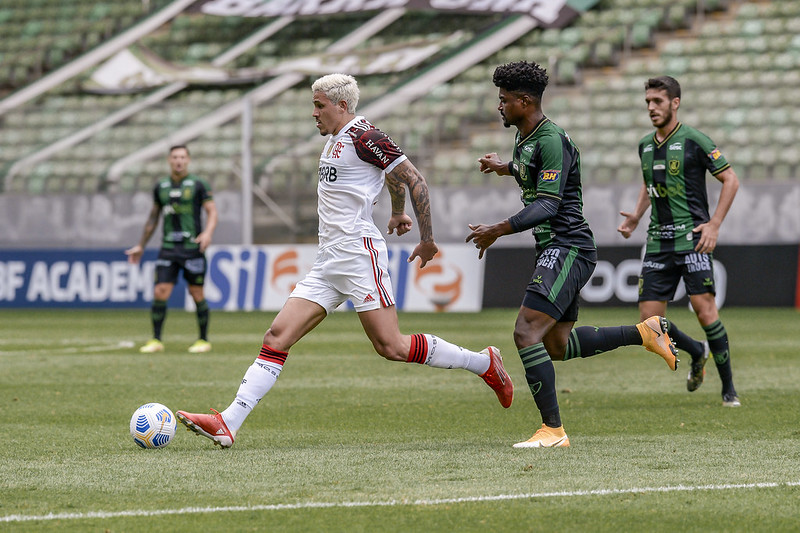 51519179217 7cce22224f c