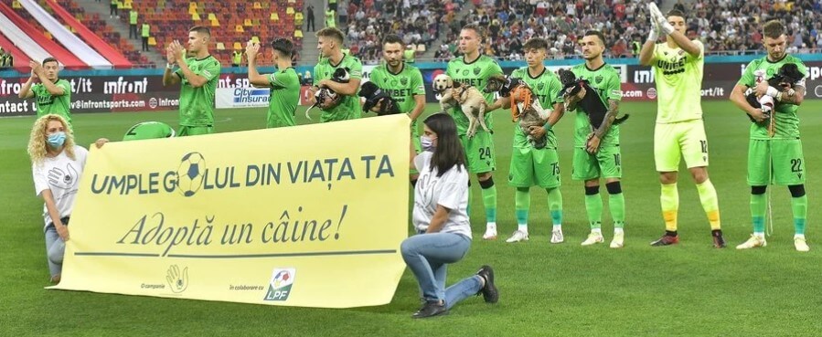 Federação determina e jogadores entrarão em campo com cães abandonados; Entenda aqui! 2 caes romenia