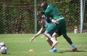 Avaí x Goiás - Sem perder há dez jogos, melhor defesa pode igualar pontuação do líder da Série B!