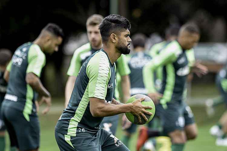 luan atibaia palmeiras