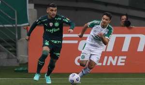 Chapecoense x Palmeiras - Boa chance para afastar a crise