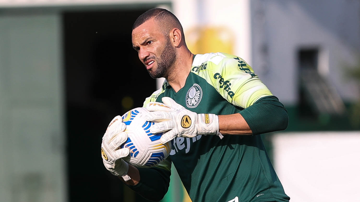 Com selecionáveis de volta, Palmeiras está pronto para enfrentar o Flamengo