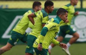 Palmeiras x Sport - Verdão busca vice-liderança contra Leão desesperado para fugir do Z-4