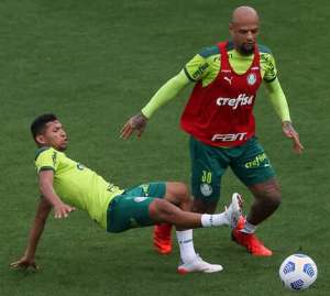 Felipe Melo lidera Palmeiras na tentativa de consolidar reação no Brasileirão