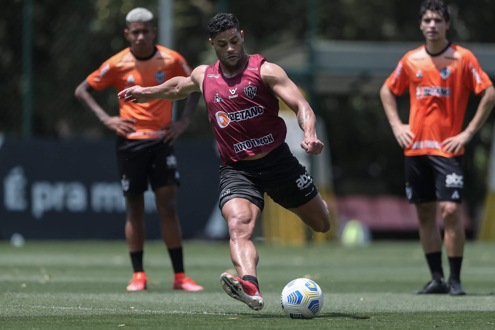 BRASILEIRÃO: Após o adeus na Libertadores, Galo encara o Colorado; Timão visita finalista da Sul-Americana