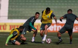 Série B: Em queda, Guarani se reapresenta de olho no jogo contra o Londrina