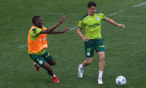 Mais um teste? Fora de casa, Palmeiras faz último ensaio antes da final da Libertadores