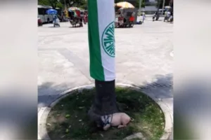 Libertadores: Torcedores do Flamengo amarram porco na entrada do Maracanã e animal é resgatado por ativistas