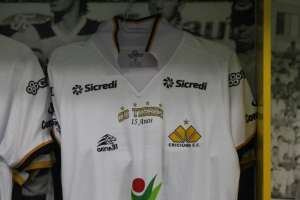 Criciúma homenageia torcedores, e dirigente garante que torcida 