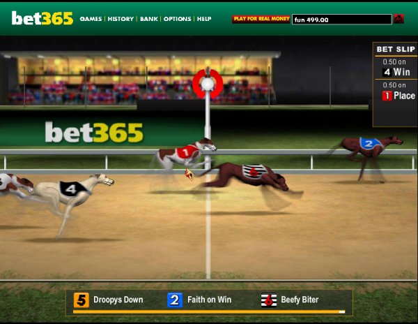 corrida-de-galgos-ao-vivo-bet365