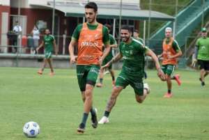 América-MG dá última cartada em busca do sonho da Libertadores