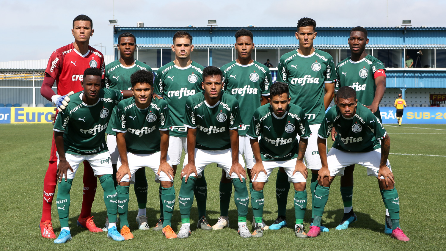 PALMEIRAS 5