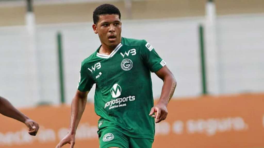 Carioca: Botafogo encaminha acerto com dupla que subiu com o Goiás