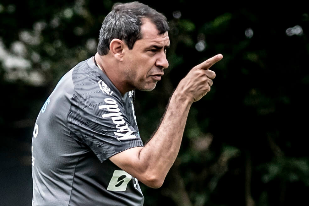 Flamengo x Santos – Peixe encara o desfigurado vice-campeão para se garantir 100% na Série A 3 carille santos2 1