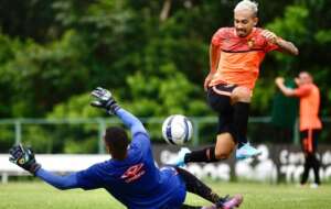 Pernambucano: Sport acerta com ex-meia de Palmeiras e Guarani