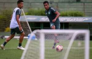 Diogo Mateus valoriza Paulistão e quer Guarani 