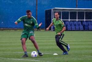 Paulistão: Ponte Preta mira contratação de ex-atacante do Vasco