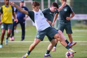 Guarani x São Paulo - A estreia do Bugre é contra o atual campeão!