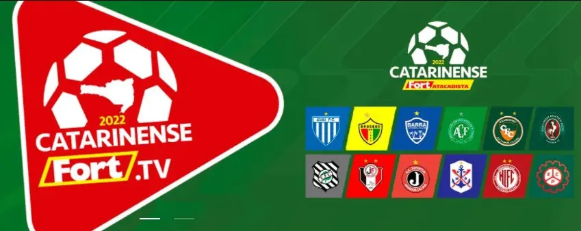 Catarinense: Confira os detalhes das partidas que aconteceram neste domingo