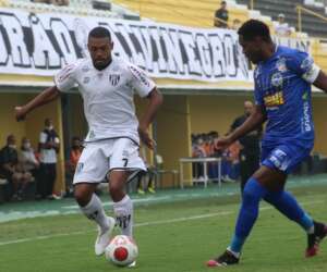 Seleção FI Sapesp: Feras da 8ª rodada