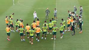 No Allianz Parque, Palmeiras faz com titulares último teste antes do Mundial