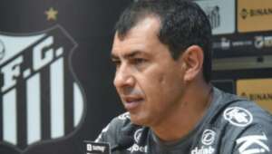 Paulistão: Carille aguarda reforços experientes no Santos