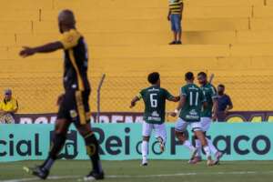 Novorizontino 1 x 2 Guarani - Bugre se reabilita e afunda o Tigre!