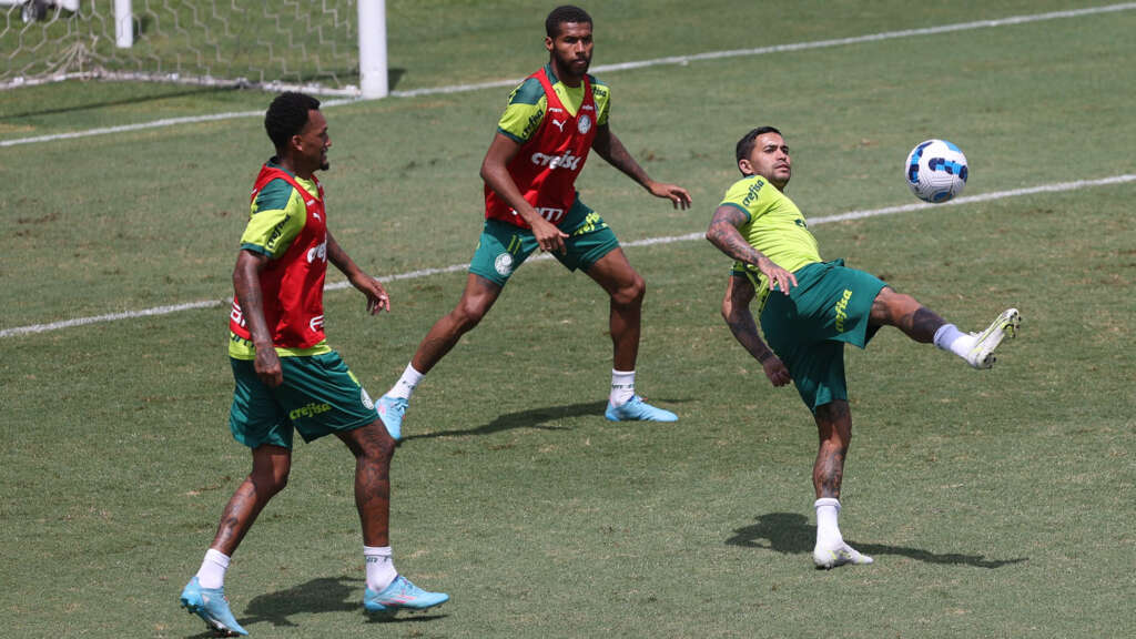 Palmeiras busca 4º título sob o comando de Abel Ferreira