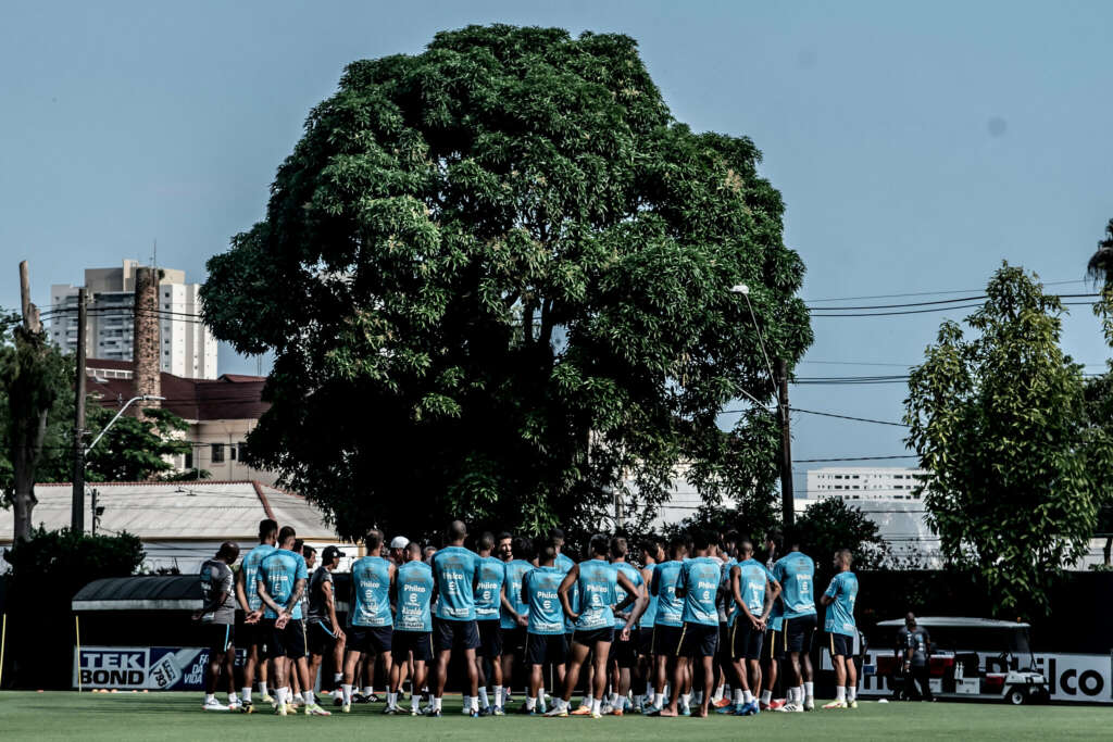 Peixe ganha reforços dos experientes para decisão 2 SANTOS PAULISTAO