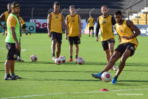 Paulistão: Novorizontino enfrenta Corinthians em casa