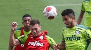 Paulistão: Palmeiras preparado para final, garante zagueiro