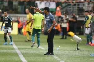 Bustos aponta disparidade entre Santos e Palmeiras