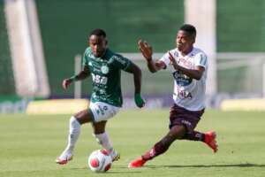 PAULISTÃO: Guarani se salva e Timão humilha a Ponte