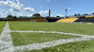 Com liberação para 100%, Novorizontino quer casa cheia contra Corinthians na despedida do Paulista A1